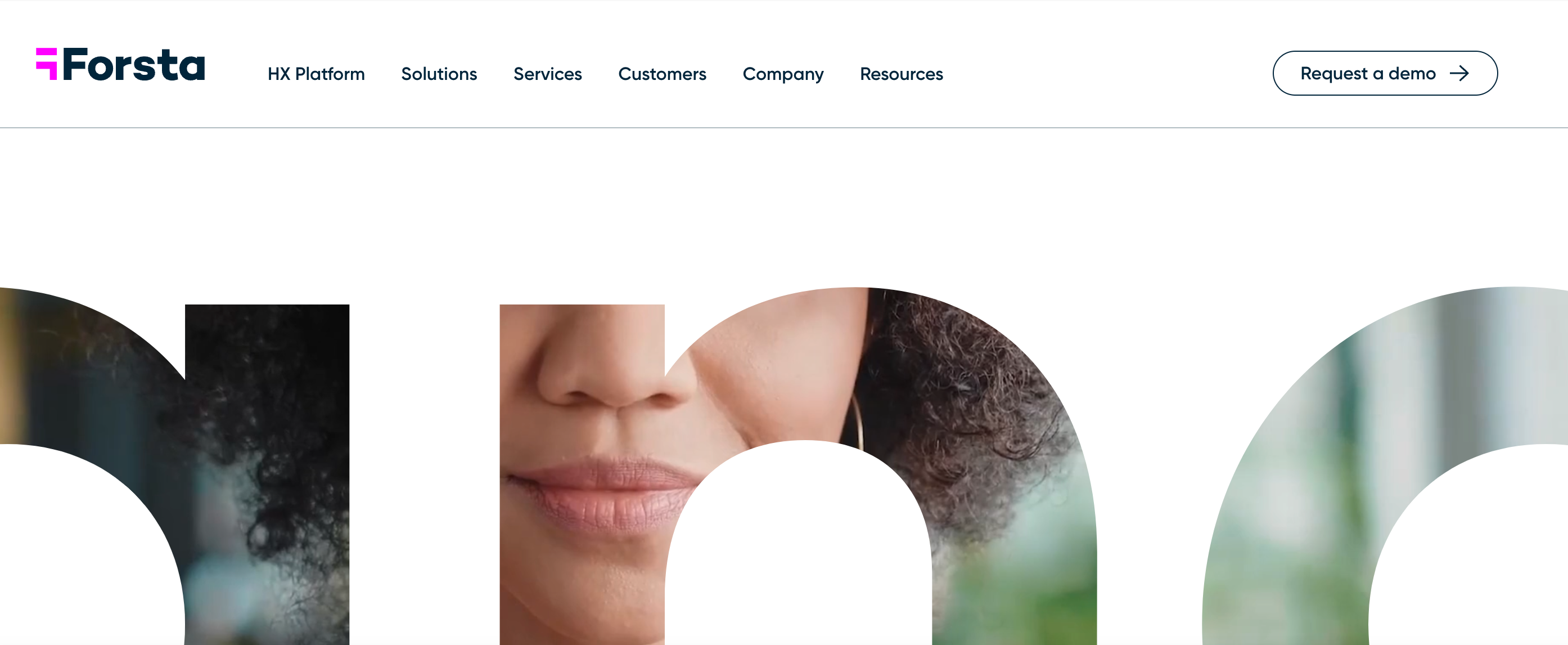 homepage of the software - forsta