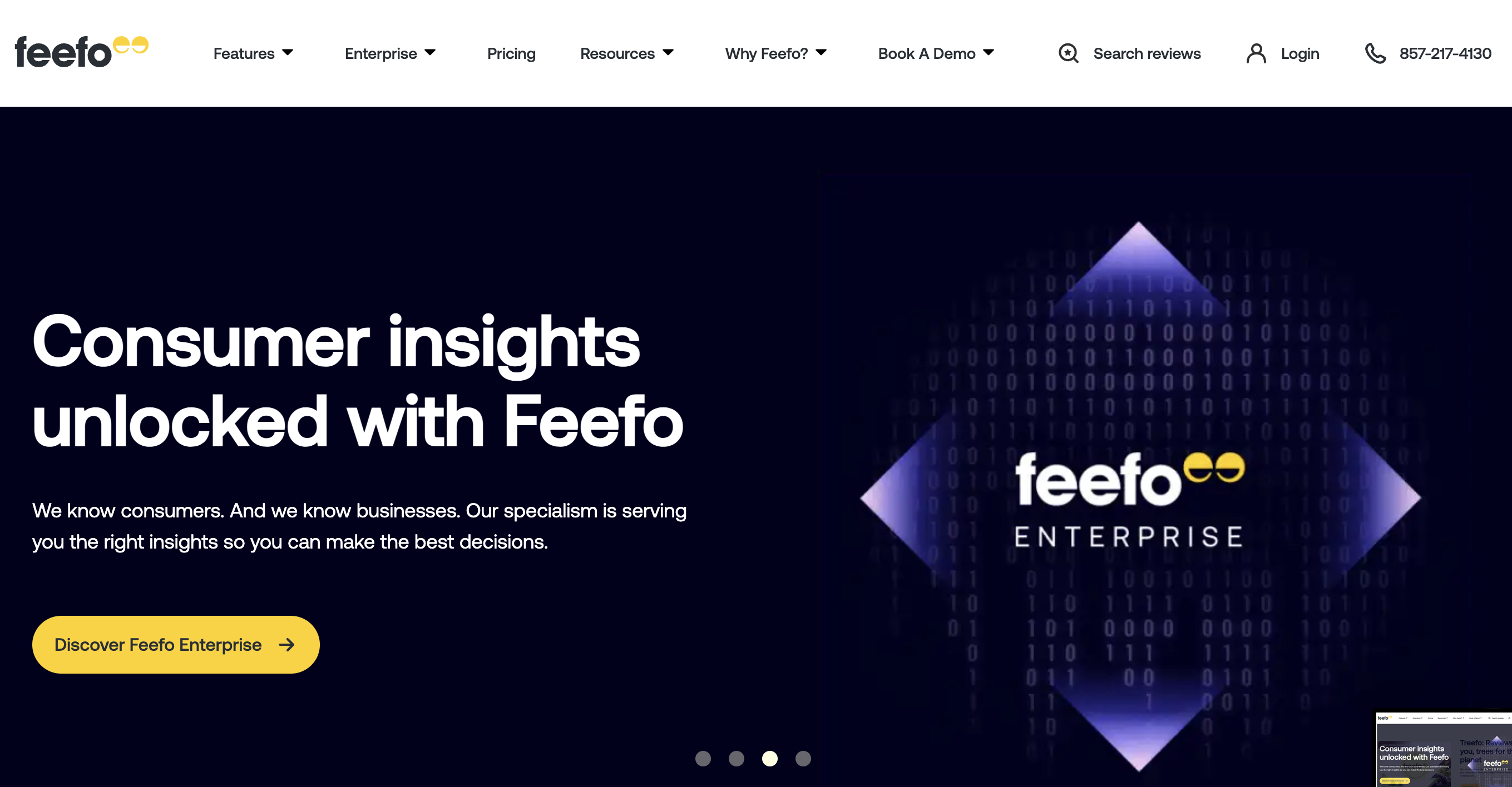 Feefo Homepage